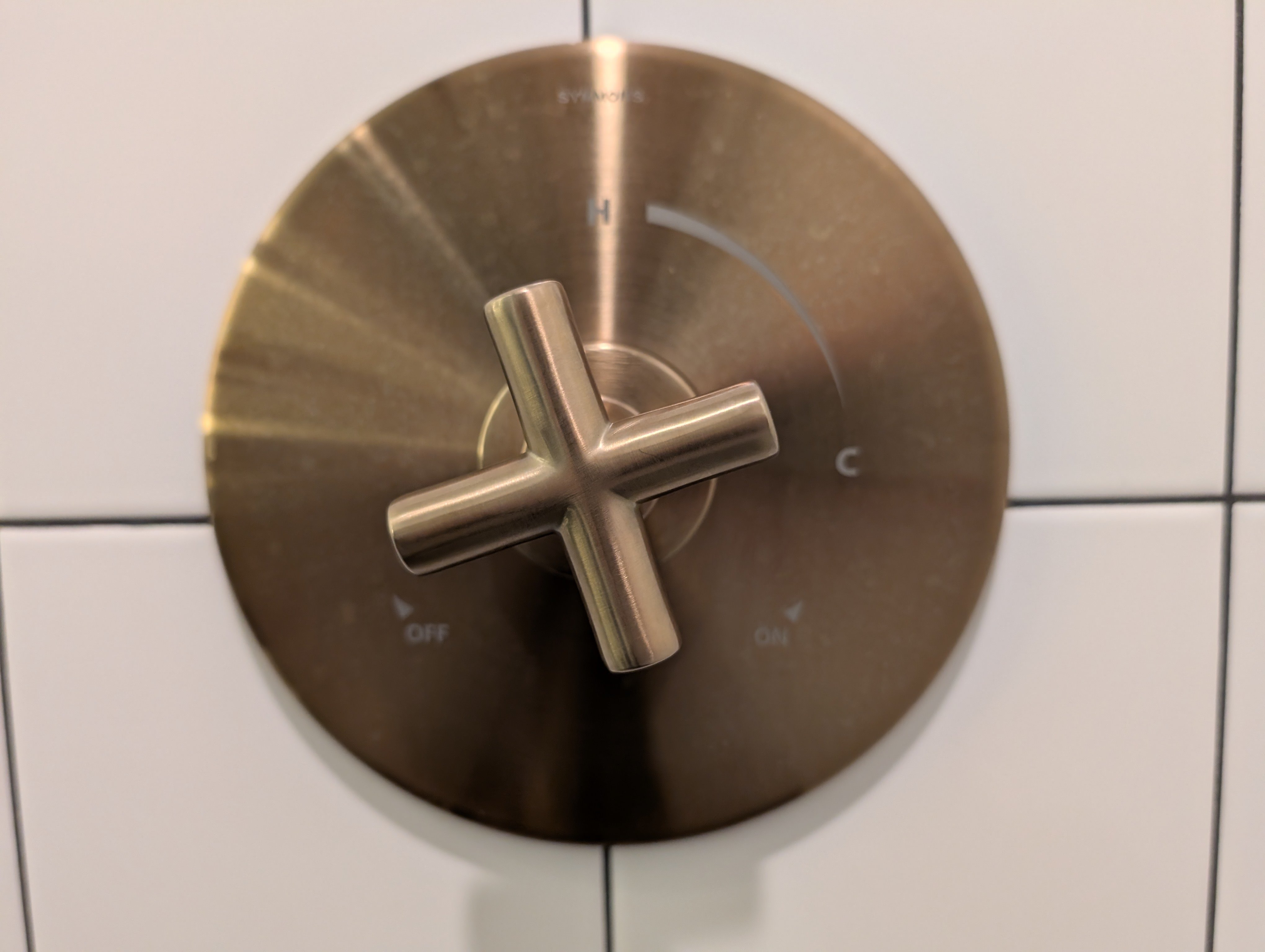 Gwern 2025 A simple, common shower control, of the sort I know how to use.