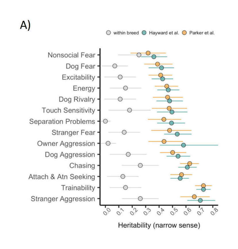 Figure 1: Heritability estimates, breed-level behavioral data, and clustering based on behavioral and genetic data . (A) Heritability (h2) estimates (proportion of variance attributable to genetic factors) for 14 behavioral traits. Genotypic variation accounts for five times more variance in analyses across versus within breeds (within-breed estimates compiled from Ilska et al 2017). Points for Hayward et al and Parker et al reflect the results of analyses with independent genetic datasets. Error bars reflect the 95% confidence intervals.