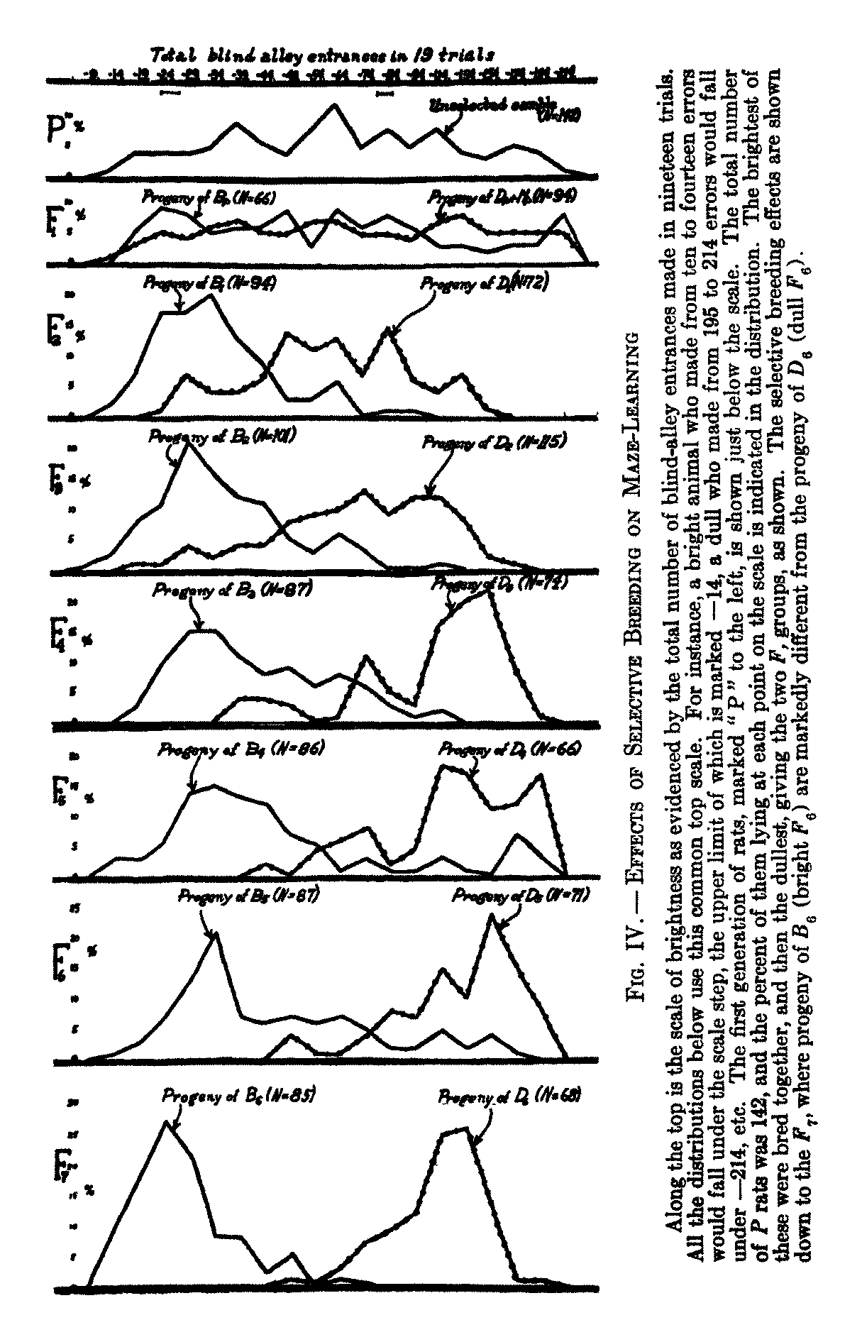 Figure 4 from Tryon1940 showing near-complete divergence after 7 generations.