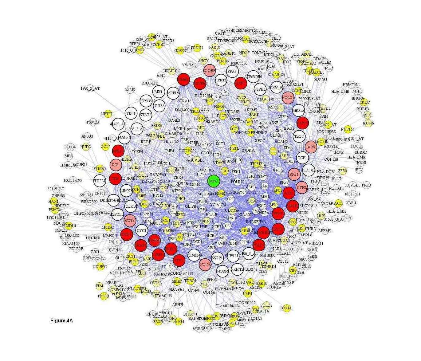 http://www.di.unipi.it/~braccia/ToolCode/pathway_03.jpg “A Toolkit Supporting Formal Reasoning about Causality in Metabolic Networks” (another example)
