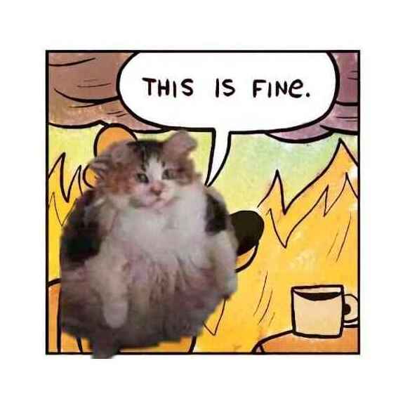 'This is Fine' meme with a cat superimposed on the dog character inside a room on fire, commenting on the apparent status quo of feline dysgenic selection against domestication. The cat status quo.
