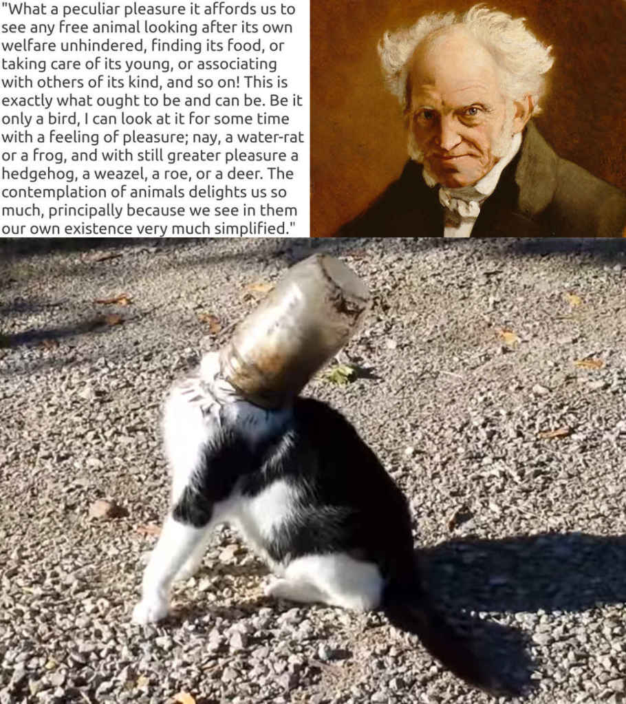 A Schopenhauer portrait and quote from his _Essays_ about the simple pleasures of watching animals solve the simpler problems of their lives which mirror ours, superimposed on a photo of a cat with its head stuck in a bottle. Schopenhauer on cat humor. “We relate to this, for it is how we appear before the eyes of God.”
