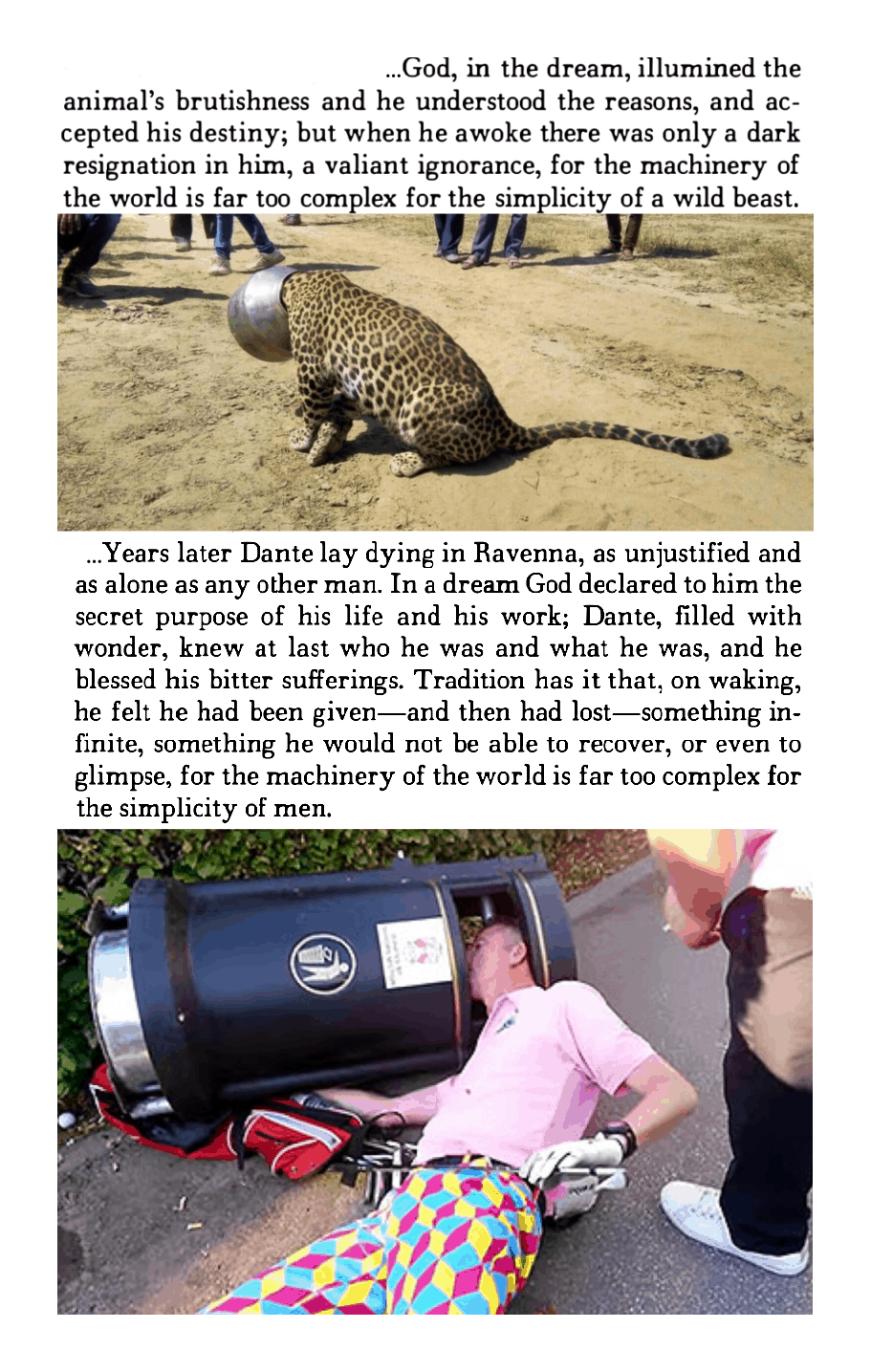 A Borges quote from _Dreamtigers_, 'Inferno I, 32', about leopards and humans and our inability to understand the universe. Jorge Luis Borges comments on cats and men.