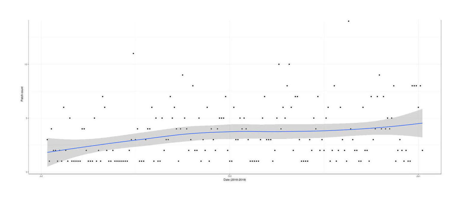 Plot of patch creations (y-axis) versus date (x-axis): July 2018–January 2019