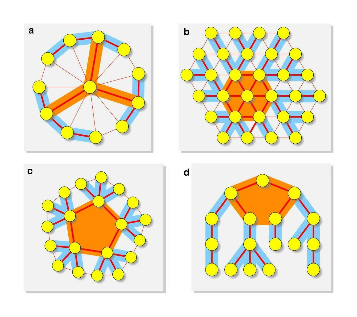Figure 4: Infinite variety of strong amplifiers. Many topologies can be turned into arbitrarily strong amplifiers (Wheel (a), Triangular grid (b), Concentric circles (c), and Tree (d)). Each graph is partitioned into hub (orange) and branches (blue). The weights can be then assigned to the edges so that we obtain arbitrarily strong amplifiers. Thick edges receive large weights, whereas thin edges receive small (or zero) weights