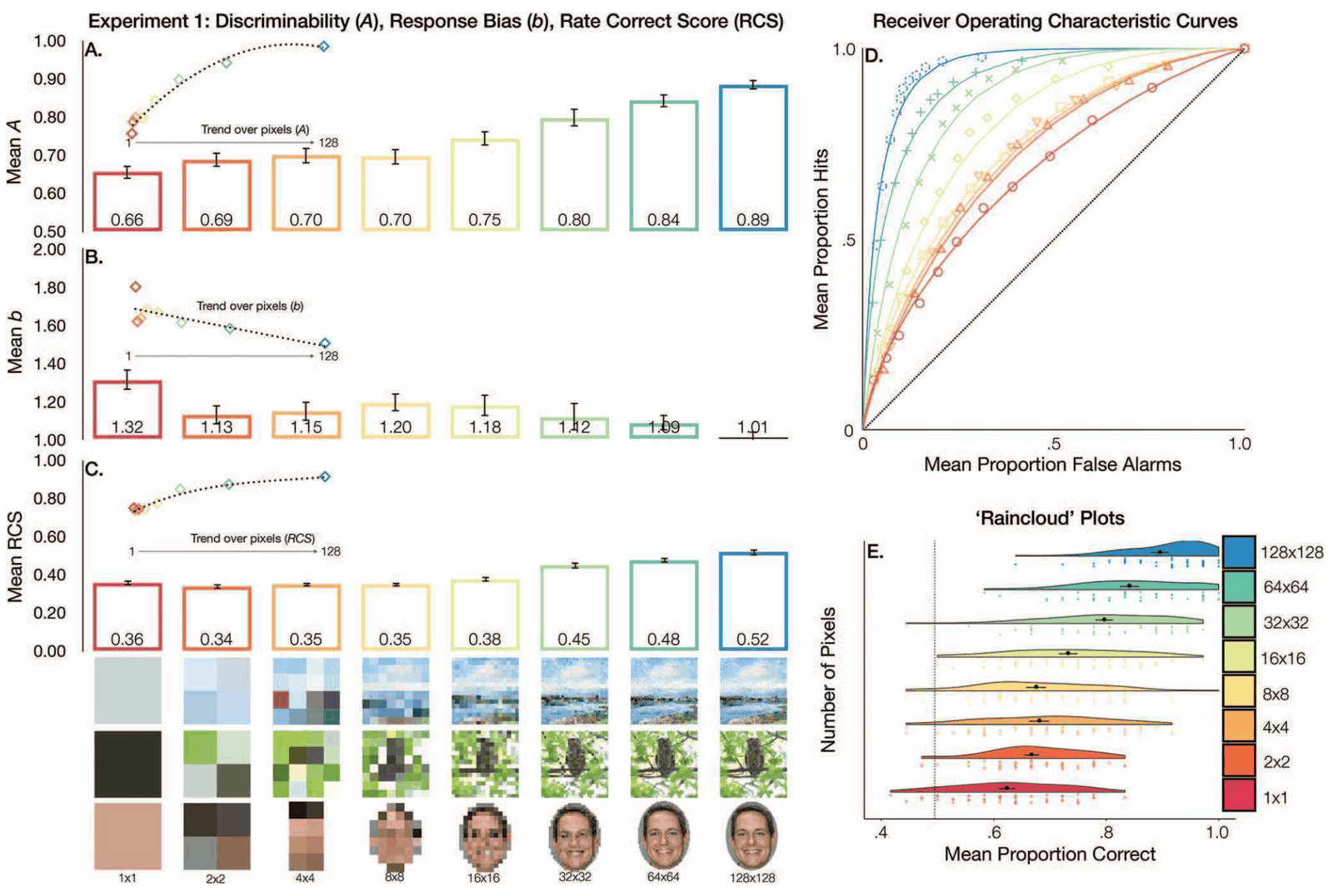 Figure 2: Panels A, B, and C depict participants’ mean discriminability (A), response bias (b), and rate correct scores (in seconds) recognition memory task as a function of image resolution (x-axes), along with their polynomial trend over pixels at the top of the 3 panels. All plots represent the 50 participants’ responses, collapsing over the 3 domains: paintings, birds, and faces. Panel D shows the receiver operating characteristic curves for the 8 image resolutions, overlaid with the “best-fitting” curve assuming binomial distributions (the dotted line indicates chance performance). Finally, the raincloud plots in Panel E depict a half violin plot of participants’ mean proportion correct scores across the 8 image resolutions overlaid with jittered data points from each individual participant, the mean proportion correct per resolution (the black dot), and standard error of the mean per resolution.
