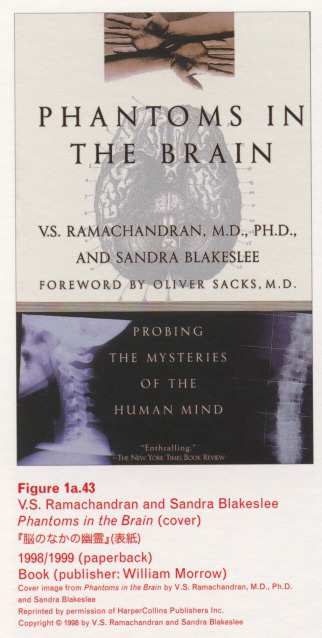 Caption left top: · Figure 1a.43 · V.S. Ramachandran and Sandra Blakeslee · Phantoms in the Brain (cover) · 1998/​999 (paperback) · Book (publisher: William Morrow)