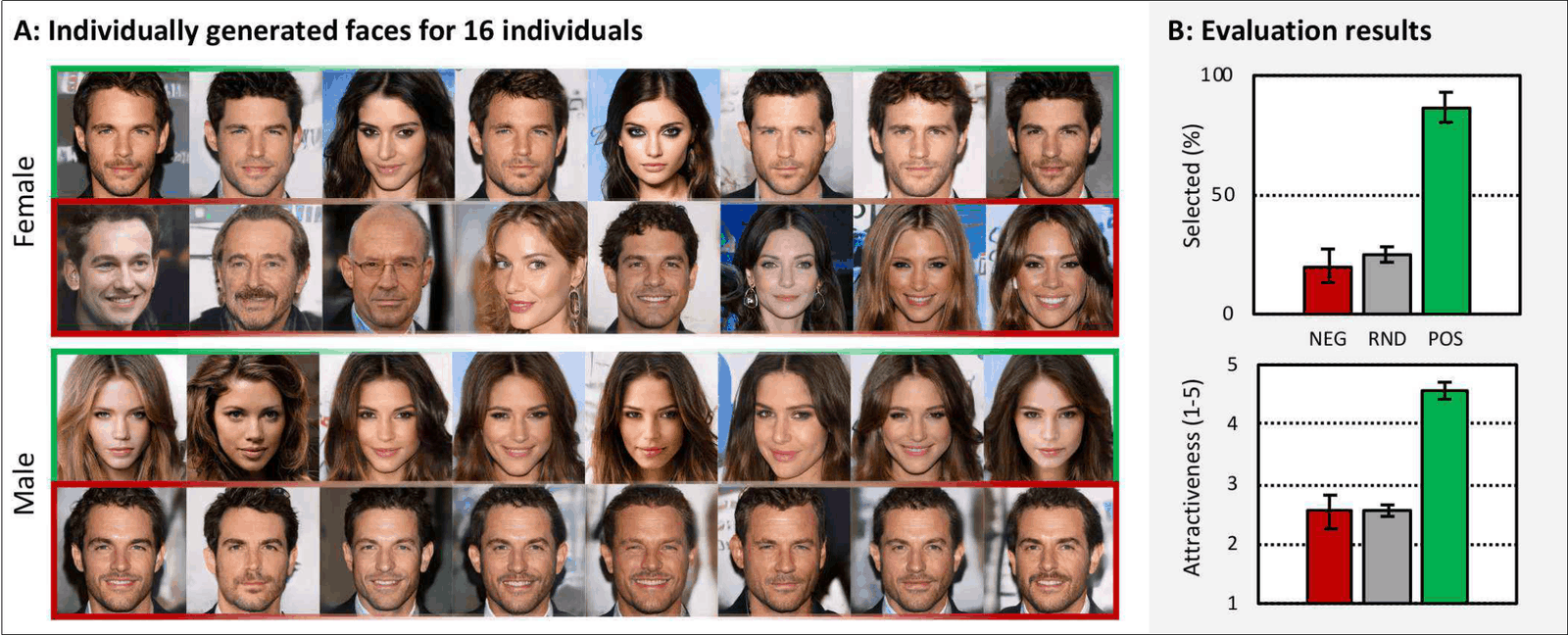 Figure 5: Individually generated faces and their evaluation. Panel A shows for 8 female and 8 male participants (full overview available here) the individual faces expected to be evaluated positively (in green framing) and negatively (in red). Panel B shows the evaluation results averaged across participants for both the free selection (upper-right) and explicit evaluation (lower-right) tasks. In the free selection task, the images that were expected to be found attractive (POS) and unattractive (NEG) were randomly inserted with 20 matched controls (RND = random expected attractiveness), and participants made a free selection of attractive faces. In the explicit evaluation task, participants rated each generated (POS, NEG, RND) image on a Likert-type scale of personal attractiveness