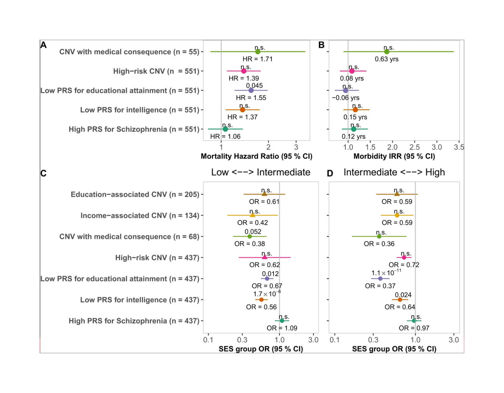 Figure 3: Health impact of high-risk CNVs and PRSs in Finnish cohorts: A: Hazard ratios in a Cox regression model for mortality in unaffected carriers of high-risk CNVs and individuals at the PRS extremes in FINRISK (n = 22,210). ID gene deletions are not pictured as there were no deaths during follow-up for carriers of this type of CNV. B: Incidence rate ratio (IRR) of high-risk CNVs and PRS extremes in a Poisson regression model of the Charlson comorbidity index (CCI) in FINRISK individuals with no SNPD (n = 22,210). The incidence of one CCI unit was more than 3.5 higher in ID gene deletion carriers than in individuals with no high-risk CNV. C, D: Impact of CNVs and PRS outlier status on socioeconomic status and health. The odds of low SES and poor health were highest for individuals with low PRSIQ, and to a lesser extent for individuals at the lowest extreme of PRSEA (A). The odds of high SES and good health was lowest for individuals at the lowest extreme of PRSEA, and to a lesser extent for individuals at the lowest extreme of PRSIQ (B). Effects meta-analyzed using a random-effects assumption are denoted by triangles, otherwise, a fixed-effect assumption was made. The Bonferroni-adjusted p-value is denoted above the point estimate of each variant.