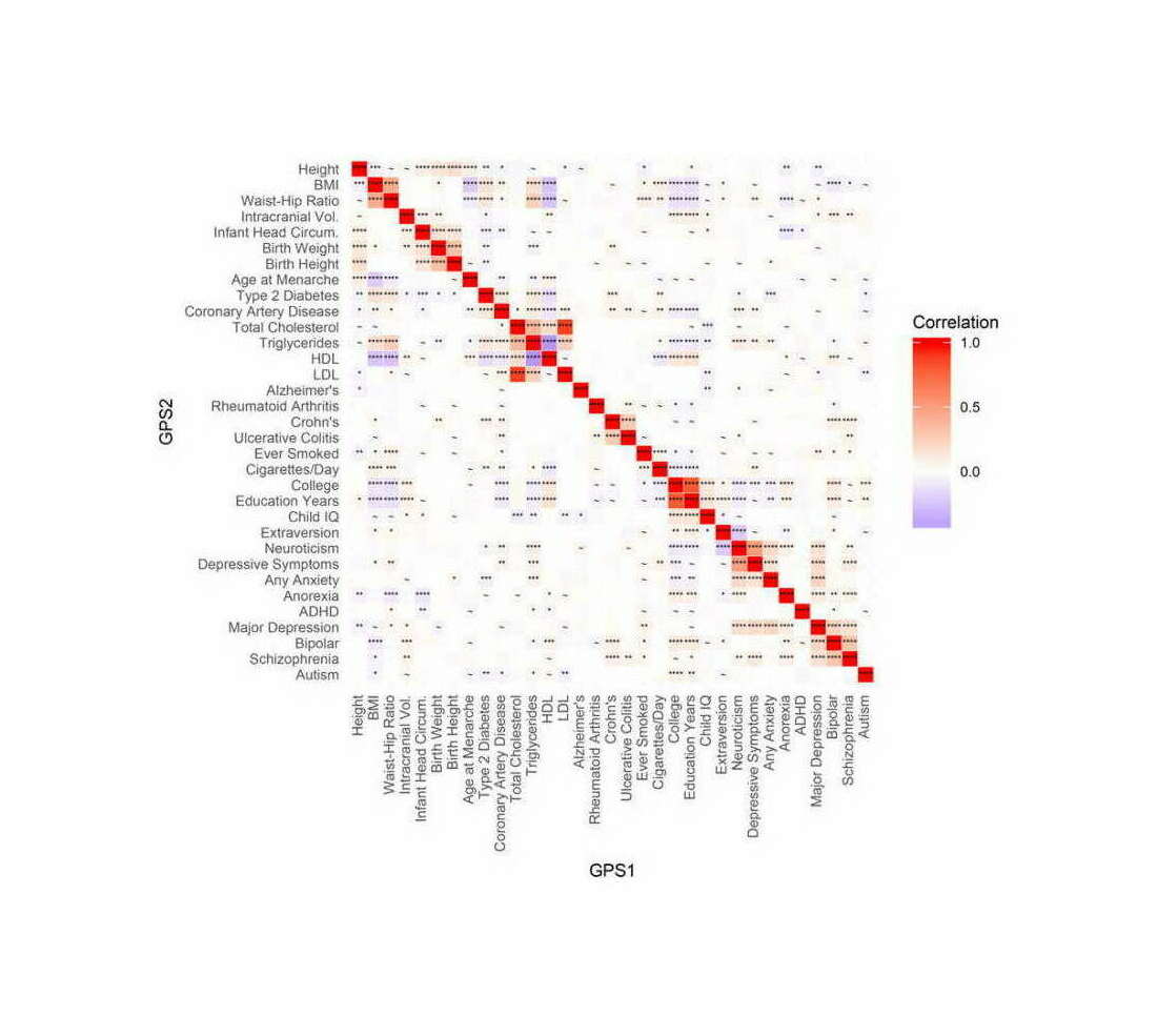 Docherty et al 2017: “Figure 3: Genetic Overlap and Co-Heritability of GPS in European Sample (EUR). Heatmap of partial correlation coefficients between GPS with prior proportion of causal effects = 0.3. Here, asterisks in the cells of the heatmap denote results of greater effect: **** = q-value < 0.0001, *** = q-value < 0.001, ** = q value < 0.01, * = q value < 0.05, and ~ = suggestive significance at q value < 0.16. Blue values reflect a negative correlation, and red reflect positive correlation.”