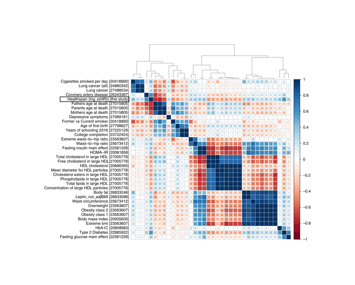 “Figure 4. 35 traits with significant and high genetic correlations with healthspan (|rg| ≥ 0.3; p ≤ 4.3 × 10−5). PMID references are placed in square brackets. Note the absence of genetic correlation between the healthspan and Alzheimer disease traits (rg = −0.03)”