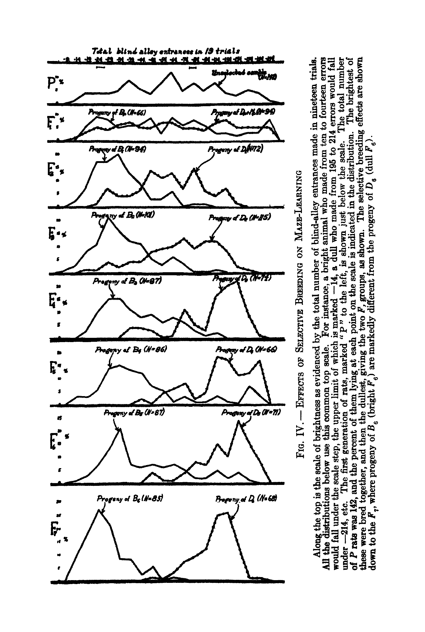 Figure 4 from Tryon 1940 showing near-complete divergence after 7 generations.