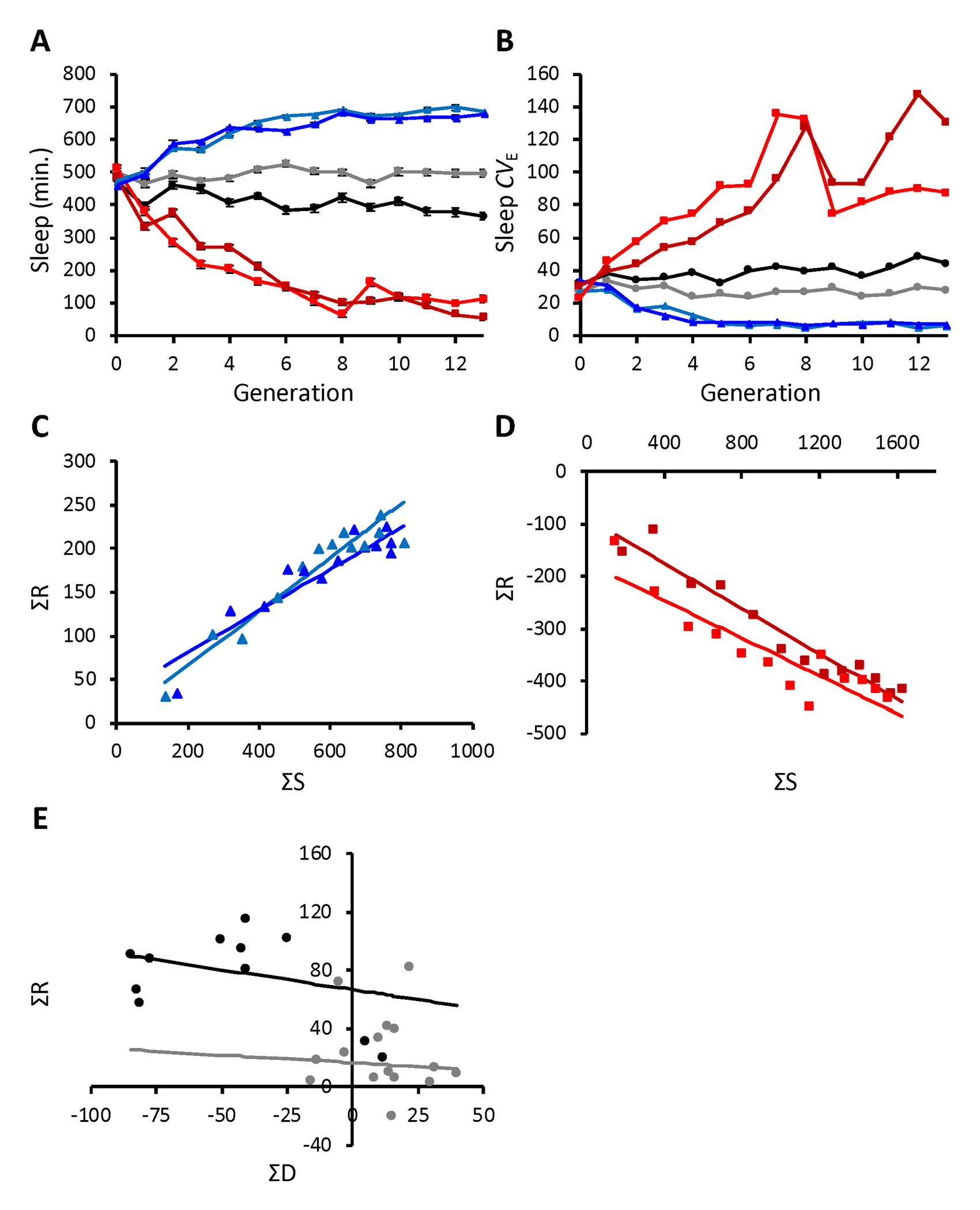 Figure 1: Phenotypic response to artificial selection for night sleep duration. (A), combined-sex average night sleep duration ± SE is plotted for each generation of selection; (B), combined-sex night sleep coefficient of environmental variation (CVE) is plotted for each generation of selection; (C) & (D), combined-sex cumulative selection differential (ΣS) versus combined-sex cumulative response (ΣR) for (C) long sleep and (D) short sleep populations; (E), combined-sex cumulative differential (ΣD) versus combined-sex cumulative response (ΣR) for the control populations. Light blue and dark blue triangles indicate Replicate 1 and Replicate 2 populations selected for long sleep; Light red and dark red squares indicate Replicate 1 and Replicate 2 populations selected for short sleep; and light gray and black circles indicate Replicate 1 and Replicate 2 control populations.