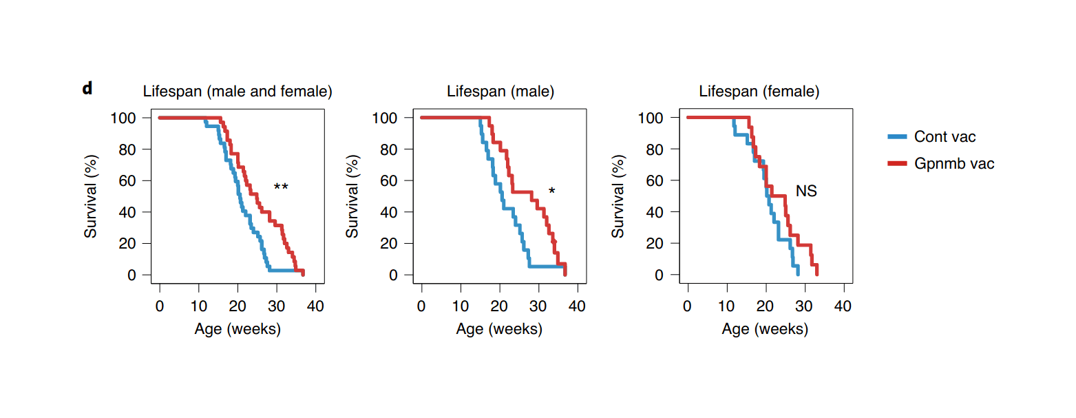 Figure 4: Gpnmb vaccination decreases tissue senescence and alleviates normal and pathological age-related phenotypes: d, Lifespan of Zmpste24 KO mice treated with Gpnmb vaccine (‘Gpnmb vac’) or control vaccine (‘Cont vac’) at 10 weeks of age (Cont vac, n = 19 for male mice and n = 18 for female mice.)